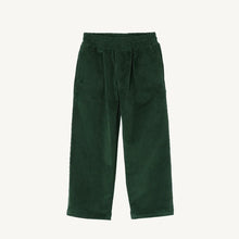 Load image into Gallery viewer, Sheffield Pants Cord F26

